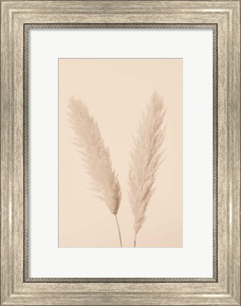 Framed Pampas Grass Beige 1 Print