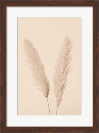 Framed Pampas Grass Beige 1 Print