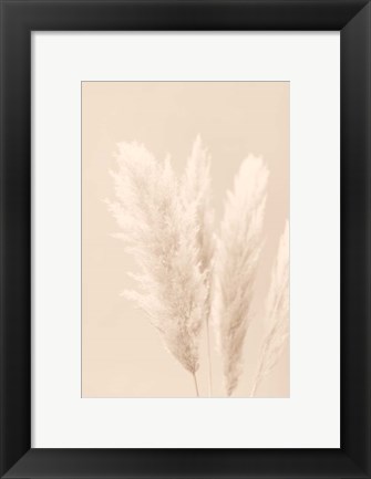 Framed Pampas Grass Beige 2 Print