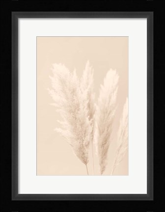 Framed Pampas Grass Beige 2 Print