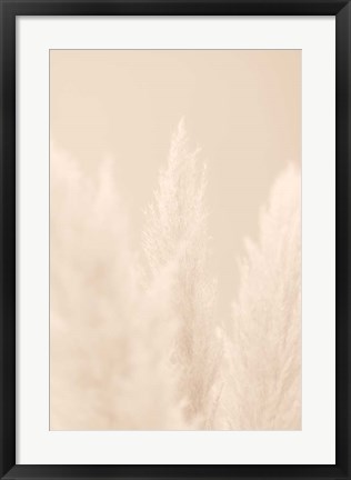 Framed Pampas Grass Beige 4 Print