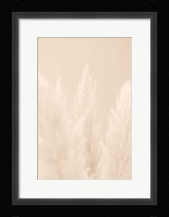 Framed Pampas Grass Beige 4 Print