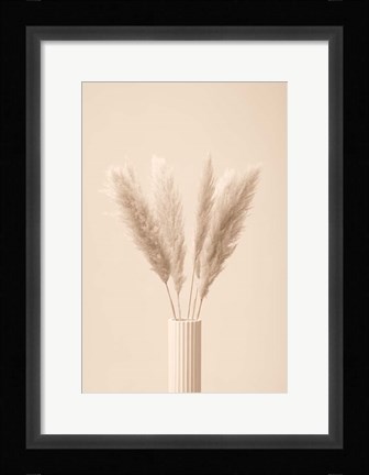Framed Pampas Grass Beige 11 Print