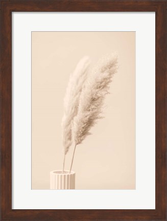 Framed Pampas Grass Begie 13 Print