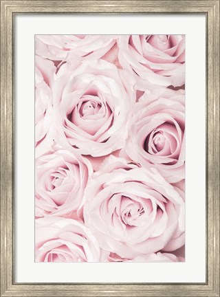 Framed Pink Roses No 2 Print