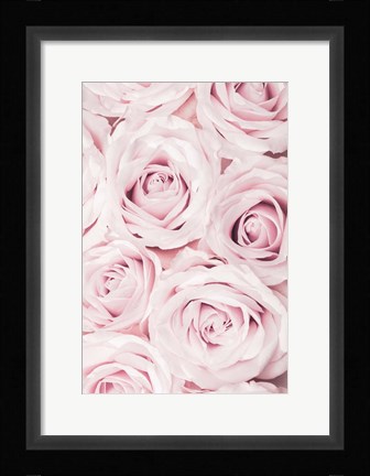Framed Pink Roses No 2 Print