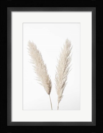 Framed Pampas White Print