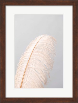 Framed Feather 1 Print