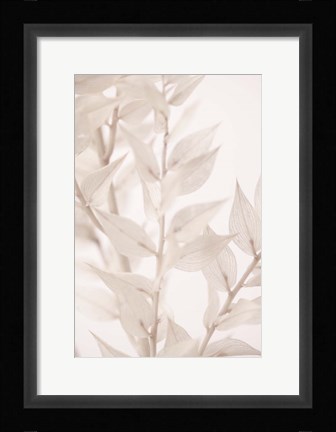 Framed Dried Straws 3 Print