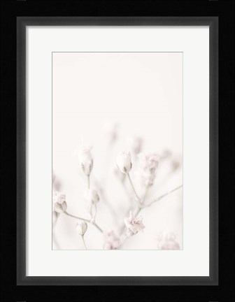 Framed Pink Small Flowers Print