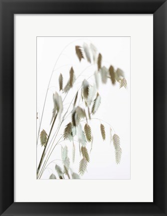 Framed Dried Grass Natural Print