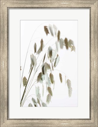 Framed Dried Grass Natural Print