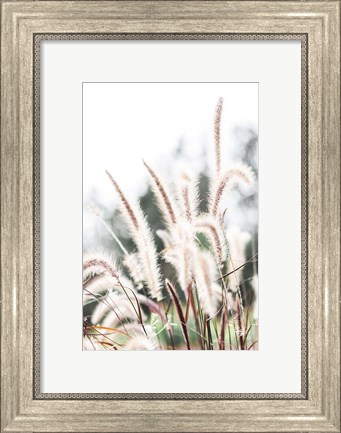 Framed Grass Print
