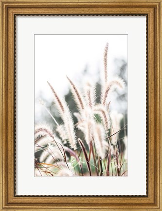 Framed Grass Print