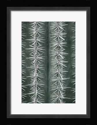 Framed Cactus Green Print
