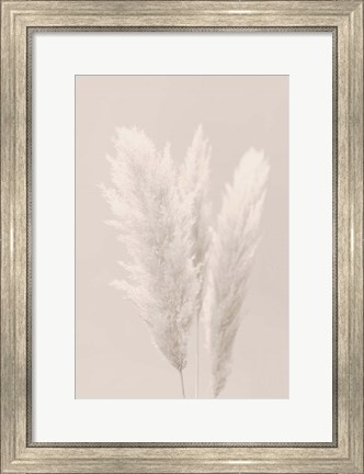 Framed Pampas Grass 2 Print