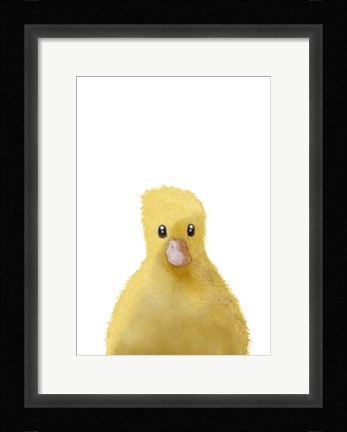 Framed Duck Print
