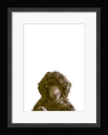 Framed Dog Print