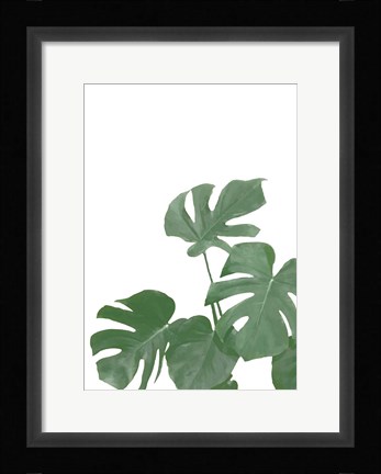 Framed Monstera Aqua 4 Print