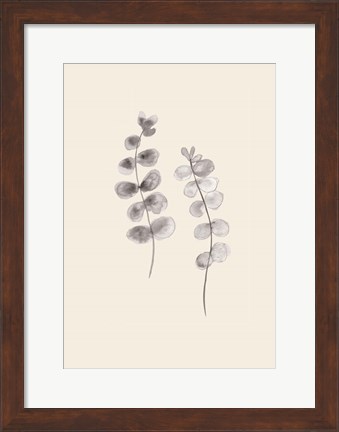 Framed Eucalyptus Twigs Print