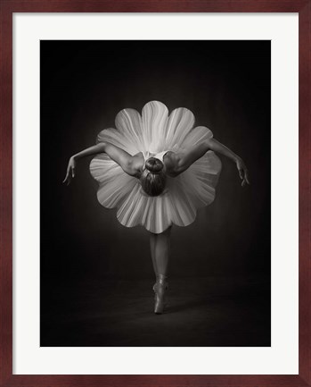Framed Floral Ballet Print
