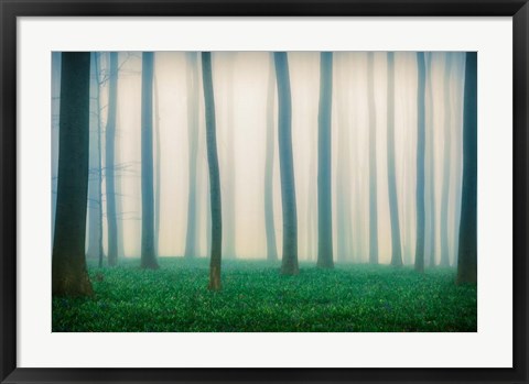 Framed Daydreaming of Bluebells Print