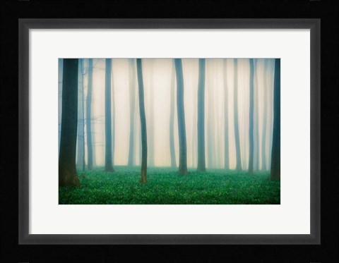 Framed Daydreaming of Bluebells Print