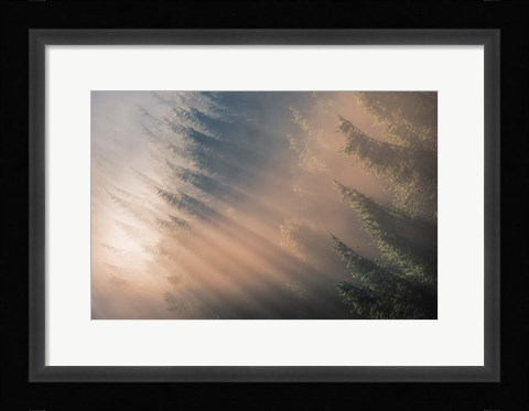 Framed Signs of Autumn Print