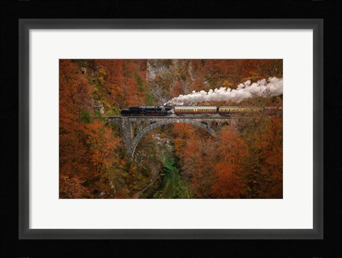 Framed Museum Train Print