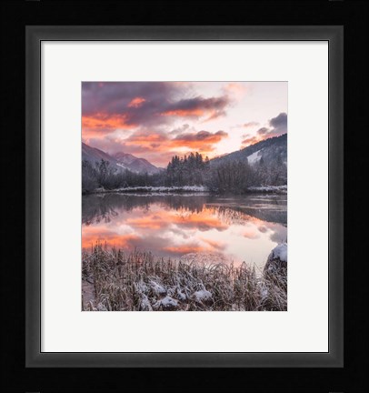 Framed Zelenci Springs Print