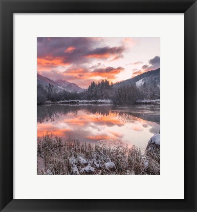 Framed Zelenci Springs Print