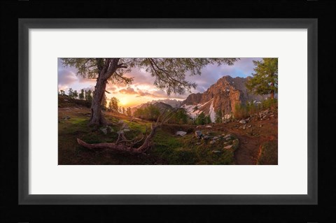 Framed Magical Morning Print