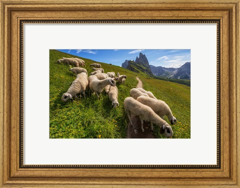 Framed On the Way to Odle mountains Print