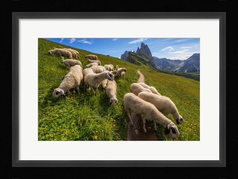 Framed On the Way to Odle mountains Print