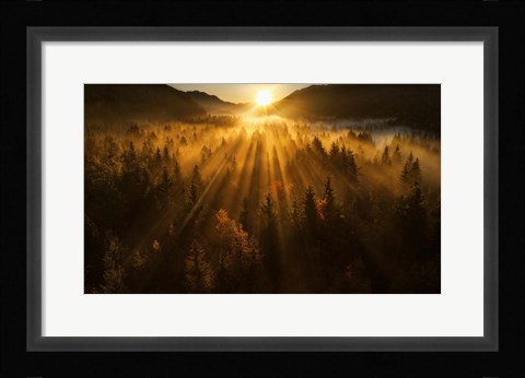 Framed Aerial Shot of an Autumn Forest Print