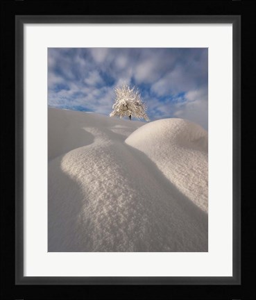 Framed Curves of a Winter Landscape Print