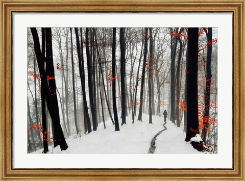 Framed Through Autumn and Winter Print
