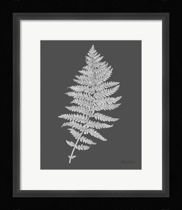 Framed Neutral Fern on grey II Print