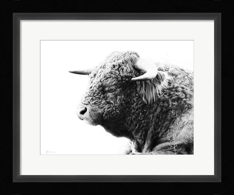 Framed My Highland II Print