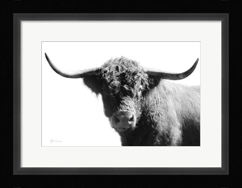 Framed My Highland IV Print