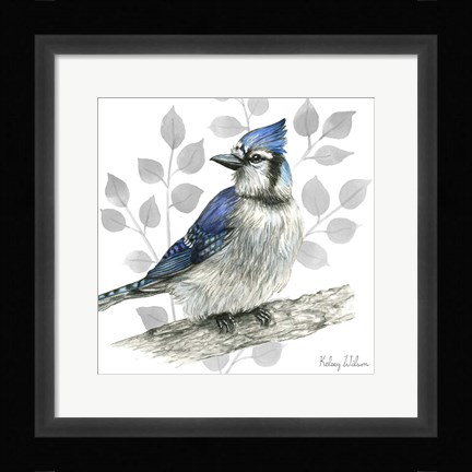 Framed Backyard Birds I-Blue Jay Print