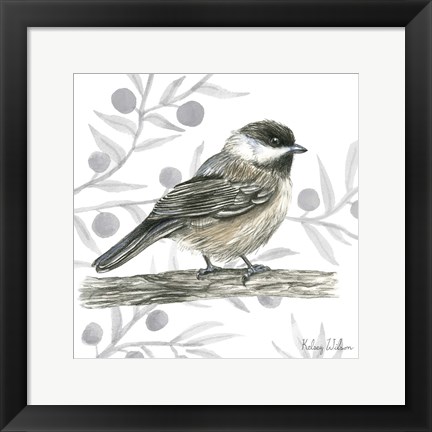 Framed Backyard Birds II-Chickadee Print