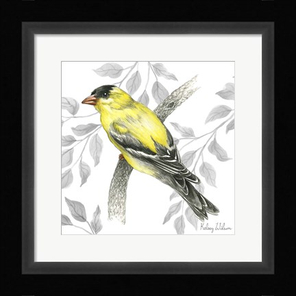 Framed Backyard Birds IV-Goldfinch II Print
