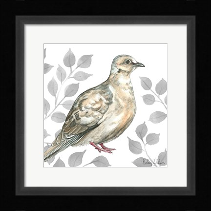 Framed Backyard Birds V-Mourning Dove Print