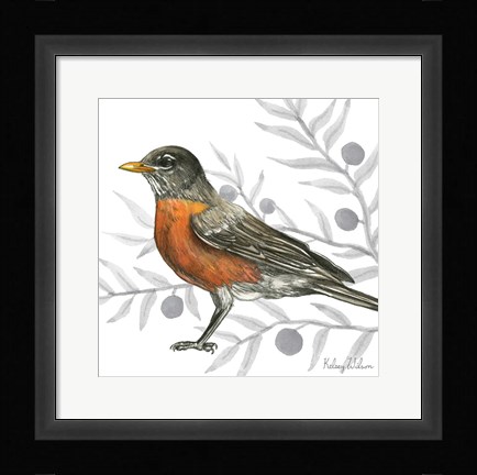 Framed Backyard Birds VI-Robin Print