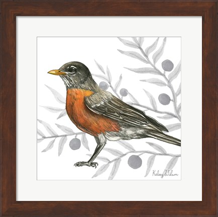 Framed Backyard Birds VI-Robin Print