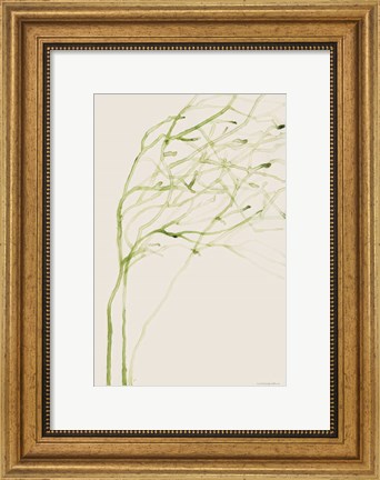 Framed Thistle and Thatch Print