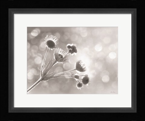Framed Wild Flowers I Print