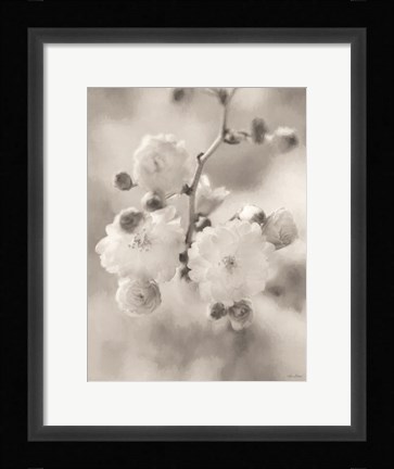 Framed Painted Blossoms I Print