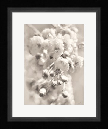 Framed Painted Blossoms II Print